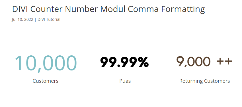 DIVI Number Counter Comma Formatting